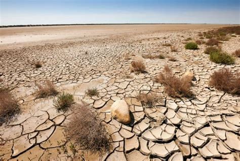 Causes Effects And Solutions To Combat Desertification Conserve Energy Future