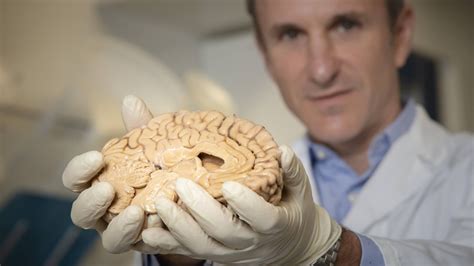 The Bank A Unique And Vital Resource To Strengthen Brain Research
