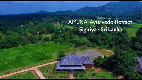 Amuna Ayurveda Retreat Sigiriyasri Lanka Youtube