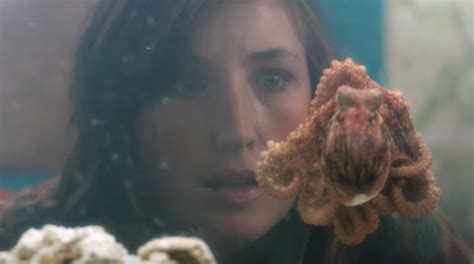 Watch Dan Beers ‘octopus Will Have You Feeling Warm And Fuzzy