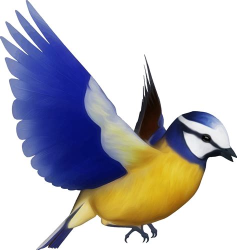 Clipart Colorful Bird
