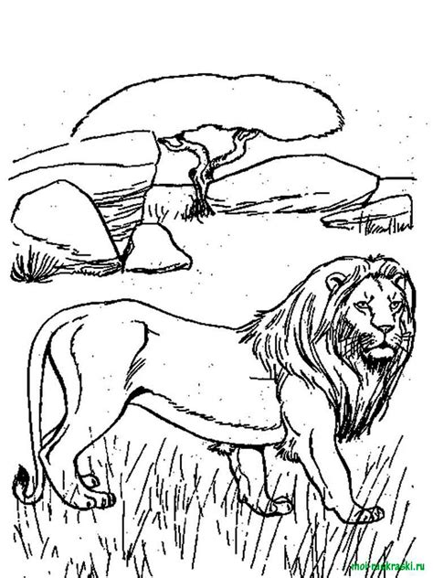 Free Wild Animal Coloring Pages Download And Print Wild Animal
