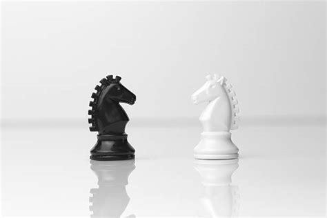 Chess Knight Stock Photos Pictures And Royalty Free Images Istock