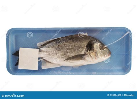 Gilthead Raw Fish In A Styrofoam Container At The Supermarket Stock
