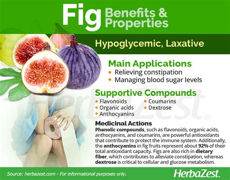 Fig Herbazest Figs Benefits Health Benefits Of Figs Fruit Nutrition