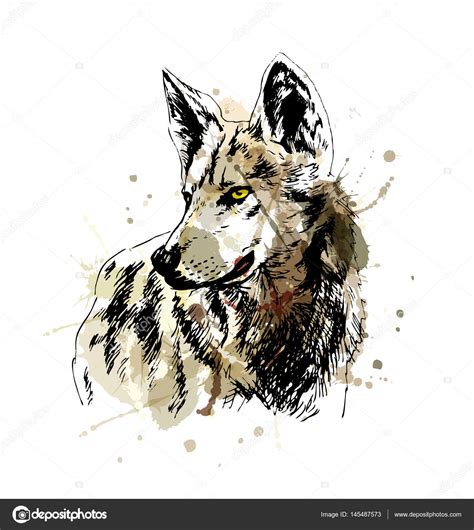 Colored Hand Sketch Wolfs Head Stock Vector Image By ©onot 145487573