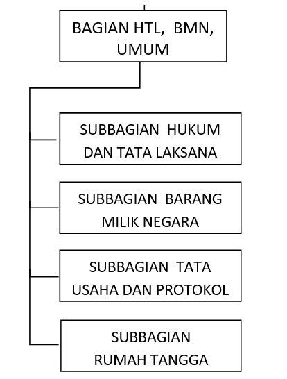Struktur Organisasi Biro Umum Dan Keuangan