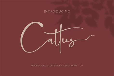 Cattus Font Craftsupplyco Fontspace