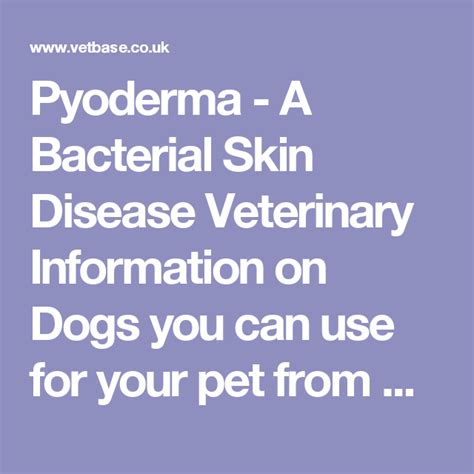 Pyoderma A Bacterial Skin Disease Veterinary Information On Dogs You