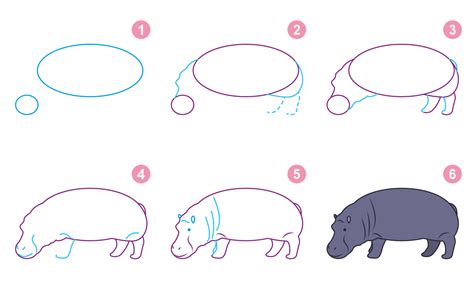 Instructions For Drawing Hippopotamus Follow Step By Step For Drawing