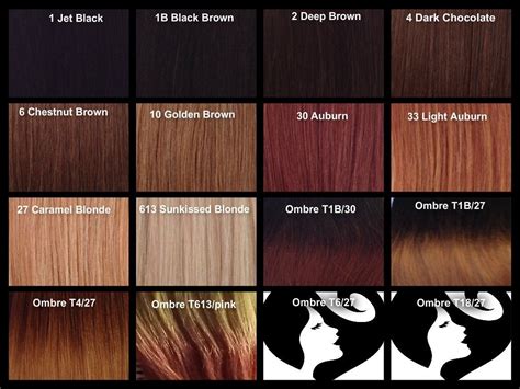 Remy Hair Extensions Colour Chart Hairextensions Virginhair
