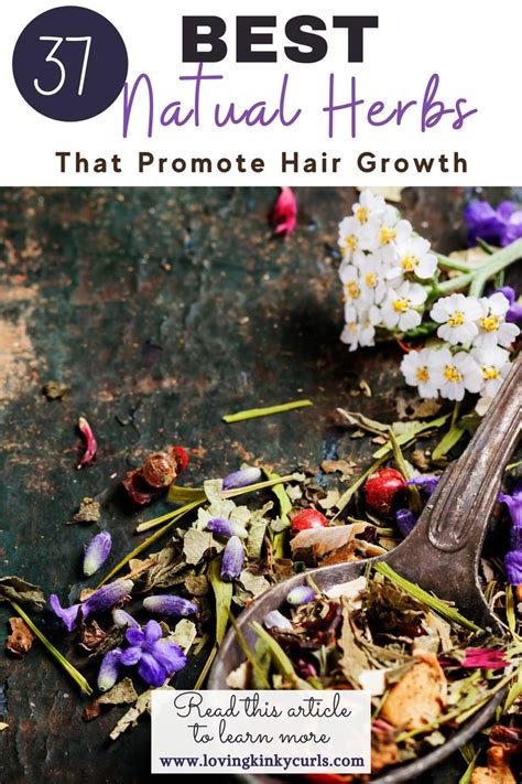 Best Herbs For Hair Growth Herbs For Hair Growth Herbs For Hair