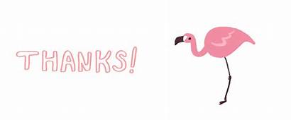 Thank Animated Flamingo Thanks Pink Gifs Bygone