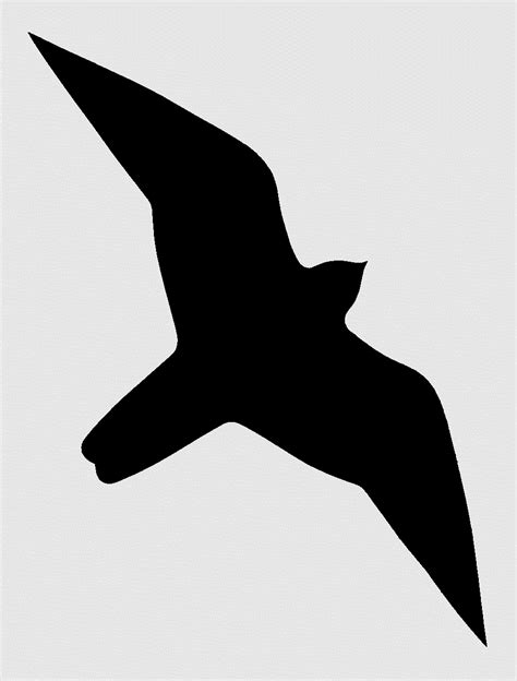 Flying Falcon Silhouette Pta Pinterest