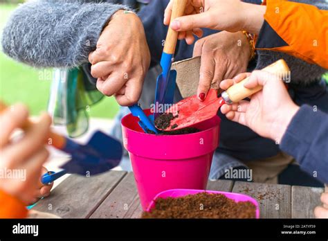 Kids Planting Seeds Hi Res Stock Photography And Images Alamy