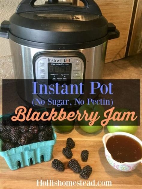 This link is to an external site that may or may not meet accessibility guidelines. Instant Pot Blackberry Jam Recipe (No Sugar, No Pectin)