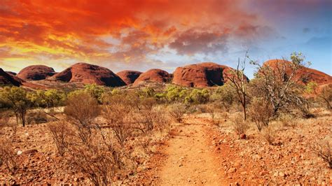Australien Was Wissen Sie über Das Outback Geo