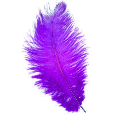 Purple Feather Purple Feathers Aesthetic Feather Aesthetic Purple Feather