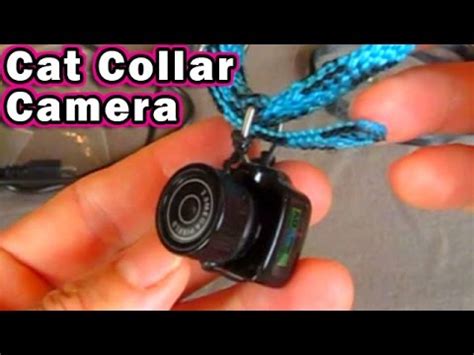 Subscribe to my new gopro cats channel and stay. Cat Collar Camera $10.99 Y2000 mini cam Dog Pet Y3000 ...