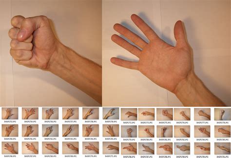 Illustration Hands Art Reference Anatomy Reference Human Hands Hand