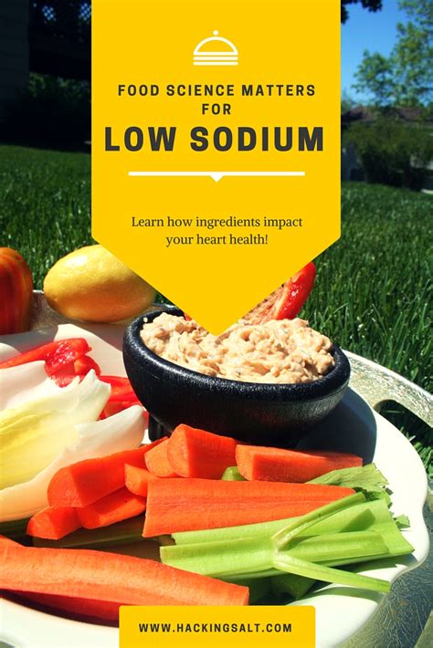 Journal of food science and technology vols. Food Science Matters for Low Sodium - Hacking Salt