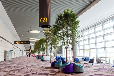 Look Changi Airport Terminal 4 Singapores Newest Airport Terminal