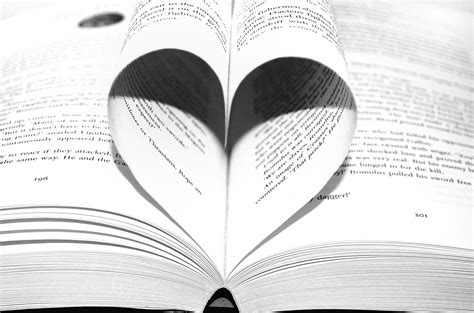 Love Of Books Free Stock Photo Public Domain Pictures