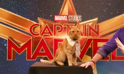 ‘captain Marvels Goose Is The Best Character In The Mcu