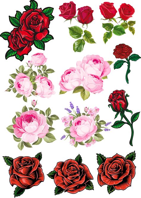 Roses Svg Rose Svg Bundle Rose Clipart Flower Svg Roses Etsy