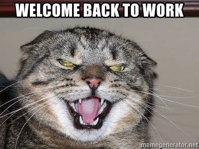 15 funny welcome back famous sayings, quotes and quotation. welcome back to work - Angry Cat | Meme Generator