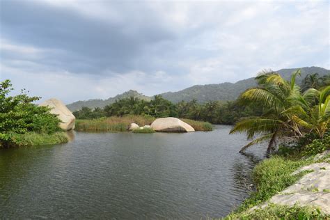 Hiking In The Tayrona National Park From The Calabazo Entrance Free