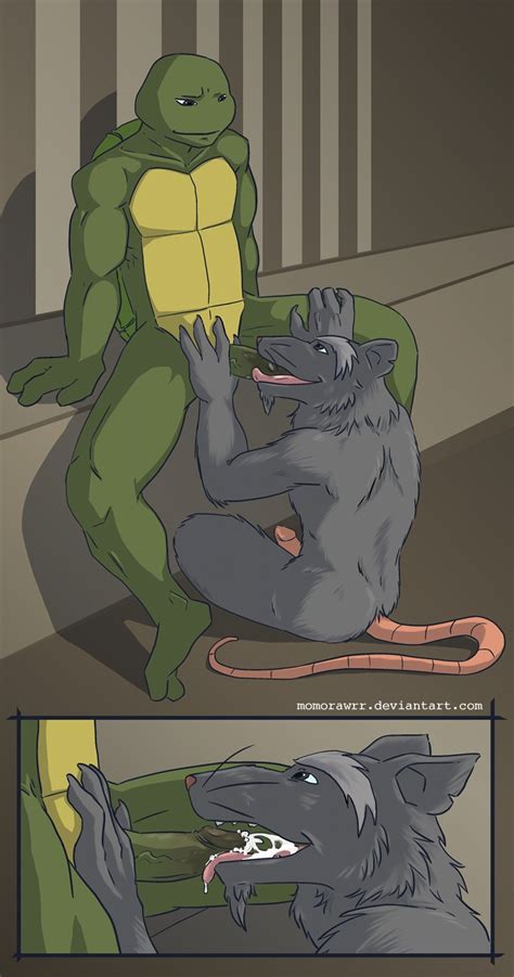 Rule 34 Donatello Furry Furry Only Gay Male Master Splinter Oral Oral