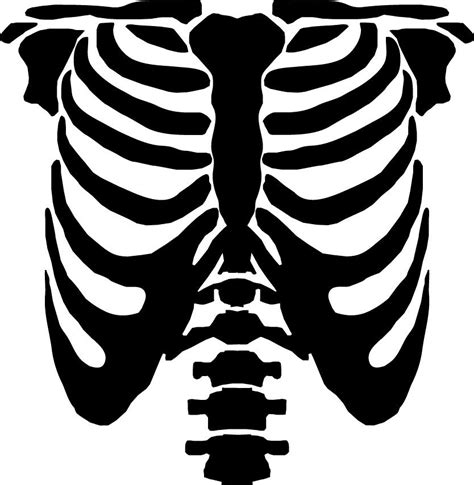 Floralpolkadot Diy Skeleton T Shirt And Jumper Halloween Stencils