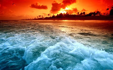 Sea Foam Sunset Tropical Beach Tropic Island Hd Wallpaper Rare Gallery
