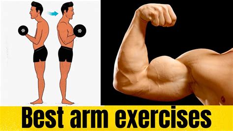 How To Grow Your Arms Bigger Youtube