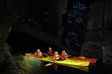 Waitomo Glowworm Caves In New Zealand Kayaking Kayak Tours New