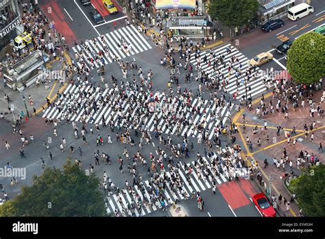 People Crossing The Pedestrian Crossing At The Intersection In Shibuya