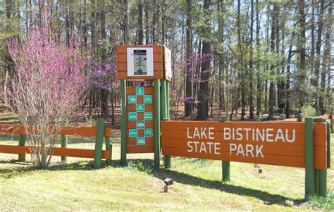 Lake Bistineau State Park Visit Webster Parish Louisiana