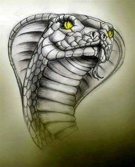 Pin By Lucas Vladimir On Serpientes Snake Drawing Cobra Tattoo