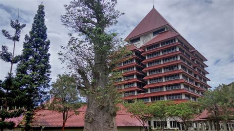 university of indonesia among top 100 universities in emerging countries national the