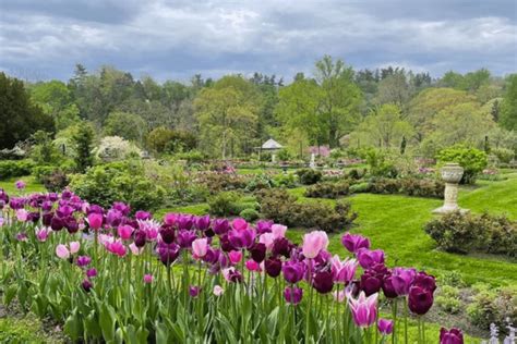7 Blooming Arboretums And Botanical Gardens To Visit In Philly Secret
