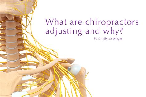What Are Chiropractors Adjusting And Why Body And Balance Chiropractic