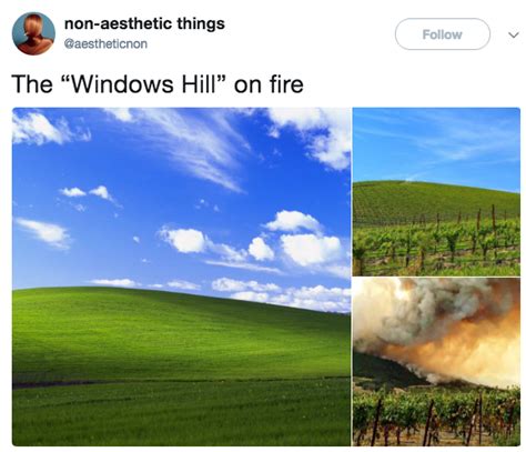 On Fire Windows Xp Bliss Wallpaper Know Your Meme