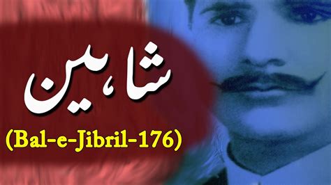 Shaheenشاہیں Best Of Allama Iqbal Poetry In Urdu Inspirational