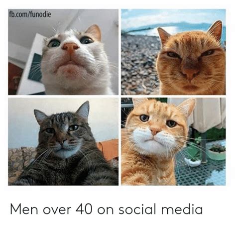 🔥 25 best memes about cats and yall cats and yall memes