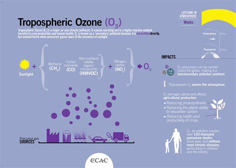 Tropospheric Ozone New Ess Course
