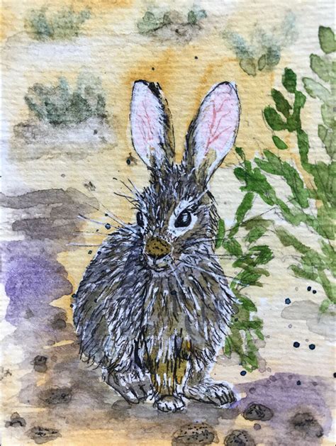 Aceo Original Watercolor And Ink Painting Desert Cottontail Rabbit