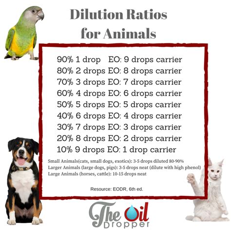 The risk with toiletries or cosmetics that only contain a very essential oils can cause serious organ damage to cats which in extreme cases can cause liver failure, seizures and even death. Essential Oils for Your Dogs - The Oil Dropper
