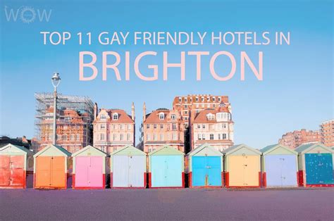 Many of these hotels offer concierge services that provide lgbt friendly requests such as; Top 11 Gay Friendly Hotels In Brighton 2020 | WOW Travel