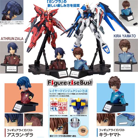 Or non model kits such as: HobbyKid: Figure- rise Bust: Kira Yamato & Athrun Zala